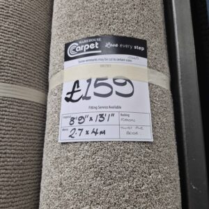 TWIST PILE - BEIGE - FUSION - 2.7 X 4M