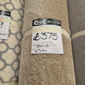 MICHIGAN SAXONY - BEIGE - FUSION - 4.7 X 4M
